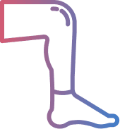Leg illustration