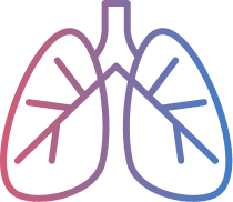 Lungs illustration