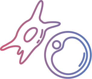 Illustration of fibrogenesis and adipogenesis